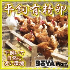 くさなぎ農園　平飼い有精卵　４０個（割れ保証４個含４４個）【自家製国産飼料/安全】【送料込】画像