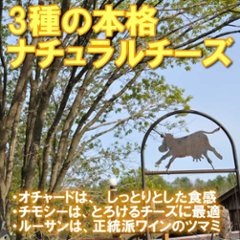 半田ファーム【ルーサン】ホール 【本格的ナチュラルチーズ】【送料込】北海道/大樹町画像