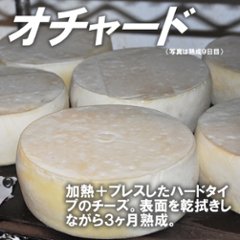 半田ファーム【オチャード】ホール 【本格的ナチュラルチーズ】【送料込】北海道/大樹町画像