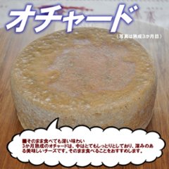 半田ファーム【オチャード】ホール 【本格的ナチュラルチーズ】【送料込】北海道/大樹町画像