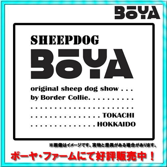 Ｔシャツ　BOYAロゴ　ブラック　【送料無料】【純日本産/個性】画像