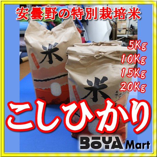 【長野県安曇野市】特殊栽培米コシヒカリ　白米１０ｋｇ【中田　喜久子・達哉】画像