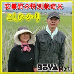 【長野県安曇野市】特殊栽培米コシヒカリ　白米１０ｋｇ【中田　喜久子・達哉】画像