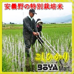 【長野県安曇野市】特殊栽培米コシヒカリ　白米１０ｋｇ【中田　喜久子・達哉】画像