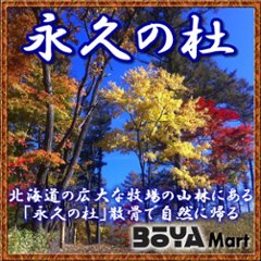 ペット「永久の杜」自然埋葬【永久の杜への散骨】～自然に帰る【北海道/日高山脈/眺望/牧場】の画像