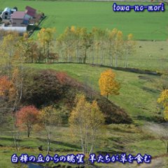 ペット「永久の杜」自然埋葬【永久の杜への散骨】～自然に帰る【北海道/日高山脈/眺望/牧場】画像