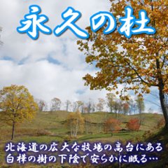 ペット「永久の杜」自然埋葬【永久の杜への散骨】～自然に帰る【北海道/日高山脈/眺望/牧場】画像