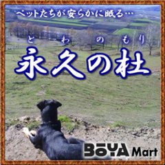 ペット「永久の杜・白樺の樹」骨室埋葬【独立個室】～永遠に眠る【北海道/日高山脈/眺望/牧場】の画像