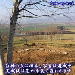 ペット「永久の杜・白樺の樹」骨室埋葬【独立個室】～永遠に眠る【北海道/日高山脈/眺望/牧場】画像