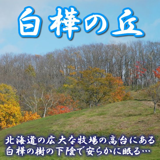 ペット「永久の杜・白樺の樹」骨室埋葬【独立個室】～永遠に眠る【北海道/日高山脈/眺望/牧場】画像