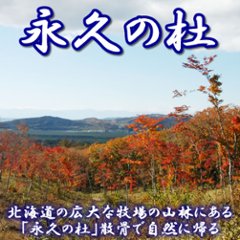 ペット「永久の杜・白樺の樹」骨室埋葬【独立個室】～永遠に眠る【北海道/日高山脈/眺望/牧場】画像