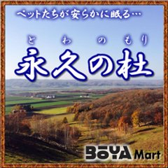 ペット「永久の杜・白樺の樹」骨室埋葬【集合個室】～永遠に眠る【北海道/日高山脈/眺望/牧場】の画像