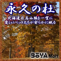 ペット「永久の杜・白樺の樹」骨室埋葬【共同】～自然に帰る【北海道/日高山脈/眺望/牧場】の画像