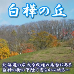 ペット「永久の杜・白樺の樹」骨室埋葬【共同】～自然に帰る【北海道/日高山脈/眺望/牧場】画像