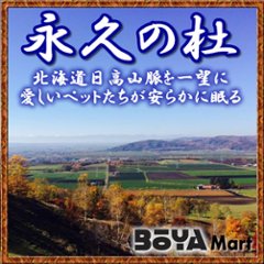 ペット「永久の杜・白樺の樹」遺骨のご返却【独立個室・集合個室のみ】の画像