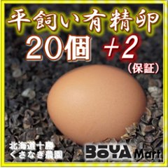 くさなぎ農園　平飼い有精卵　２０個（割れ保証２個含み２２個）【自家製国産飼料/安全】【送料込】の画像