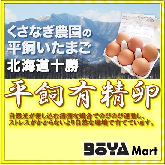 くさなぎ農園　平飼い有精卵　２０個（割れ保証２個含み２２個）【自家製国産飼料/安全】【送料込】画像