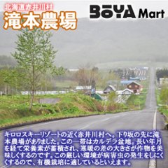 滝本農場　有機黒にんにく４００ｇ （1パック８０g×5個） 【レターパック版につき配送日時指定無効】【送料込】画像