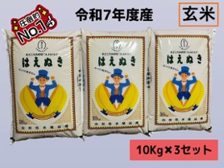 【令和7年産】山形県鶴岡市産 玄米はえぬき 30kg ( 10kg x 3袋 ) ※10月より順次お届けの画像