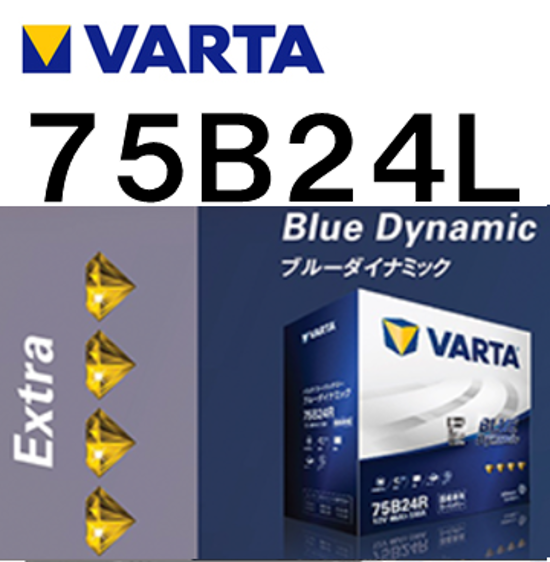 Blue Dynamic 75B24L画像