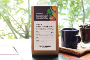 グアテマラ グアルバドール農園 パーカス アナエロビックナチュラル６デイズの画像