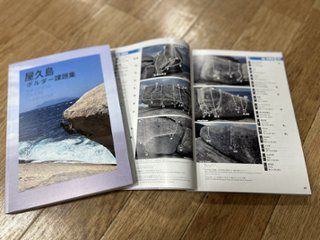 屋久島ボルダー課題集 改訂版画像