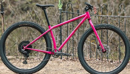 SURLY / フレームセット / Krampus / Prickly Pear画像