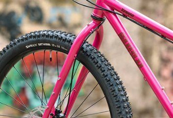 SURLY / フレームセット / Krampus / Prickly Pear画像