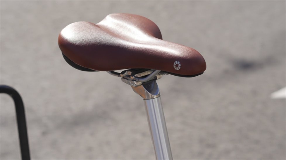 DAHON / Calm / ギャラクシーストーン / Mサイズ / 20インチ 画像