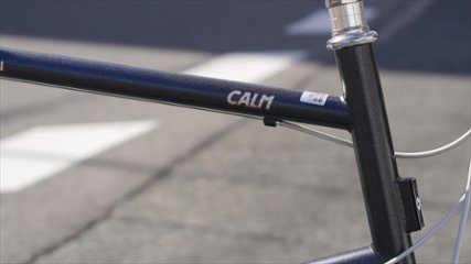 DAHON / Calm / ギャラクシーストーン / Mサイズ / 20インチ 画像