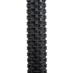 BRUCE GORDON / Rock'n Road / 700 x 43c / SIMWORKS  / タイヤ画像