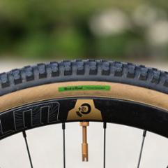 BRUCE GORDON / Rock'n Road / 650 x 48c / Gumwall / SIMWORKS  / タイヤ画像