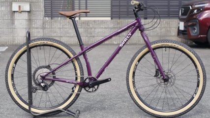 オリジナル完成車 / SURLY / KARATE MONKEY / Organic Eggplant / SMサイズの画像