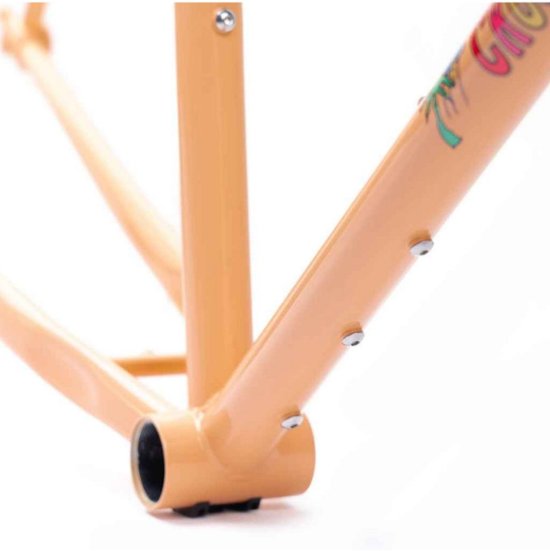 CRUST BIKES / nor'easter canti frame / フレームセット (pale orange) / クラスト画像