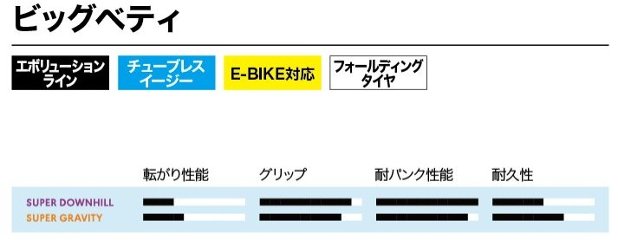 SALE☆ SCHWALBE / BIG BETTY [ 29 x 2.4 ] SUPER DOWNHILL / Ultra Soft画像