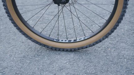 SINGER 「バサルトブラック」460-L / オリジナル完成車画像