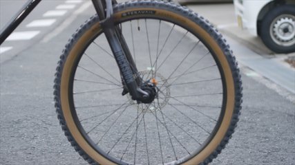 SINGER 「バサルトブラック」460-L / オリジナル完成車画像