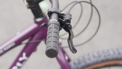 オリジナル完成車 / SURLY / KARATE MONKEY / Organic Eggplant / SMサイズ画像