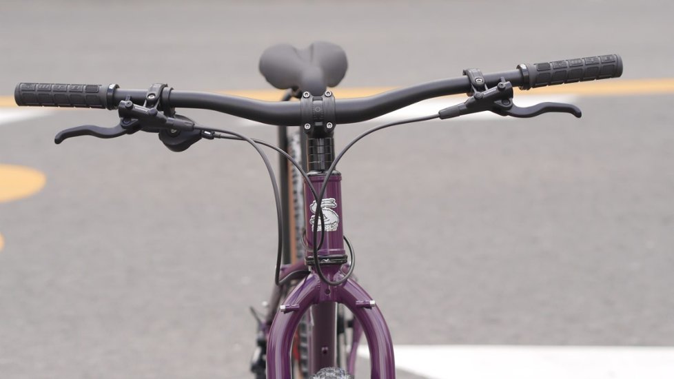 オリジナル完成車 / SURLY / KARATE MONKEY / Organic Eggplant / SMサイズ画像