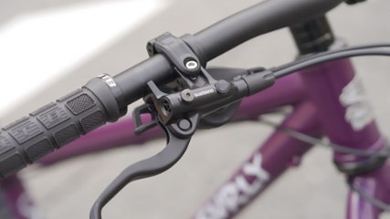 オリジナル完成車 / SURLY / KARATE MONKEY / Organic Eggplant / SMサイズ画像