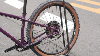 オリジナル完成車 / SURLY / KARATE MONKEY / Organic Eggplant / SMサイズ画像