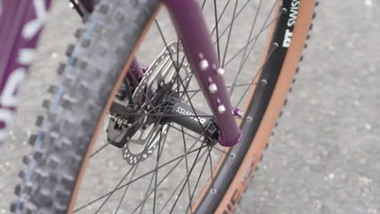 オリジナル完成車 / SURLY / KARATE MONKEY / Organic Eggplant / SMサイズ画像