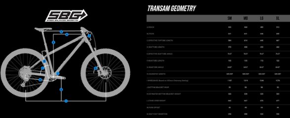 Transition / TRANSAM AM / カスケードブルー / Mサイズ / トランジション / 完成車 画像