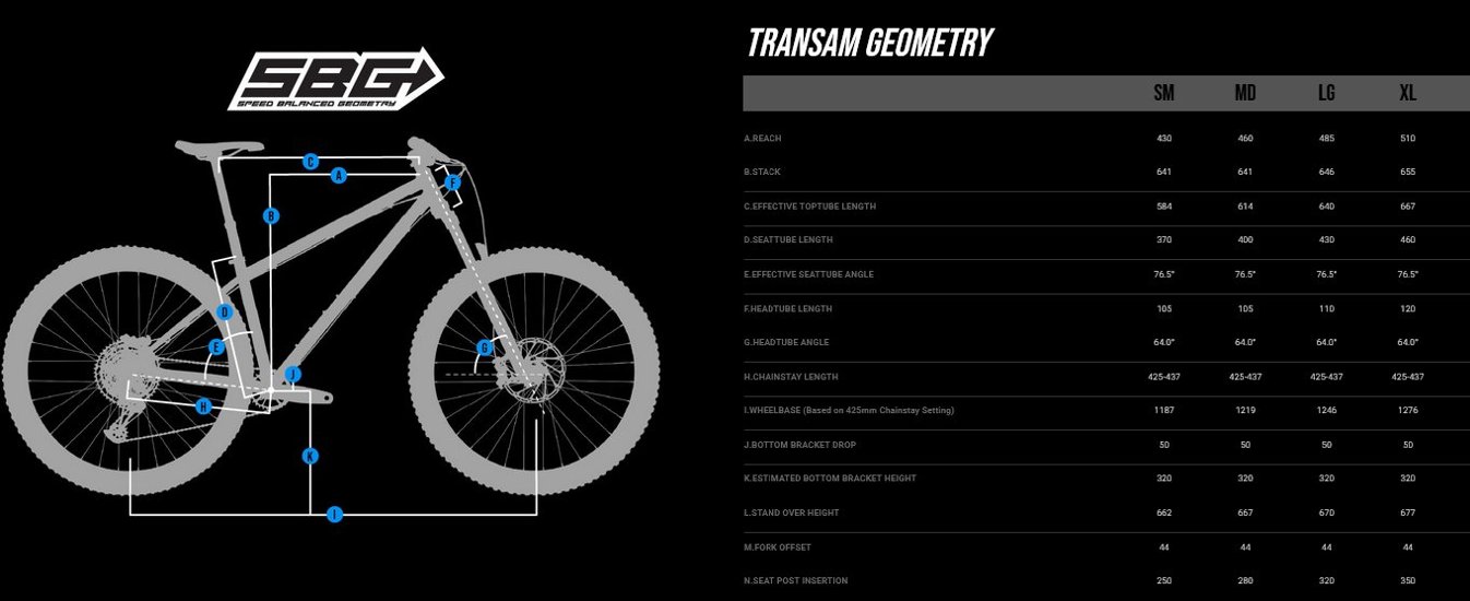 Transition / TRANSAM AM / カスケードブルー / Mサイズ / トランジション / 完成車 画像