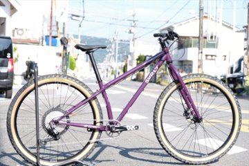 オリジナル完成車 / SURLY / KARATE MONKEY / Organic Eggplant / SMサイズの画像