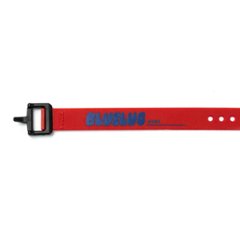 Voile / nylon buckle strap / BL special / 15inch / (red/blue) / ボレーストラップ 画像