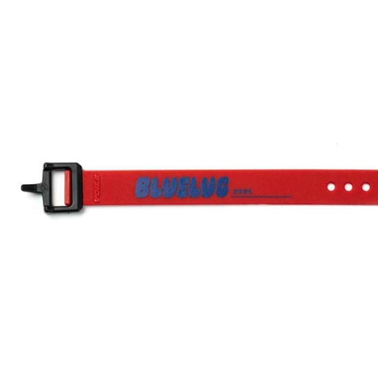 Voile / nylon buckle strap / BL special / 15inch / (red/blue) / ボレーストラップ 画像