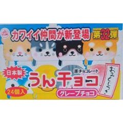チーリン製菓 うんチョコ ４ｇ ×12 【送料込】(一部地域別途)の画像