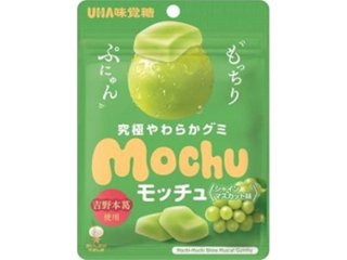 味覚糖 モッチュ シャインマスカット４５ｇ ×10 【送料込】(一部地域別途)の画像