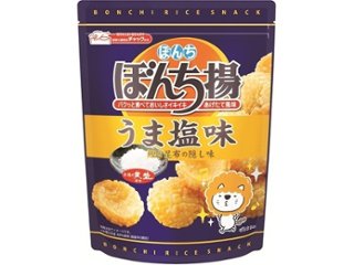 ぼんち ぼんち揚 うま塩味チャック付８５ｇ ×12 【送料込】(一部地域別途)の画像